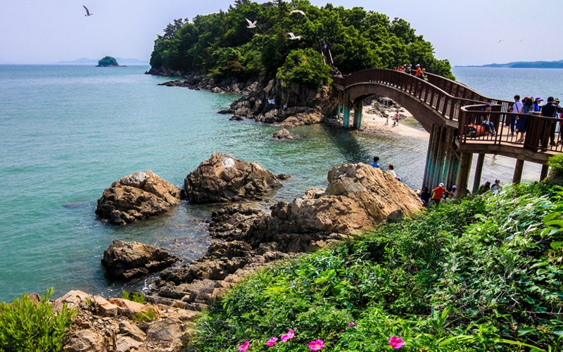 6878553fe285ed5b8f7344ea7d9901f0_1465636